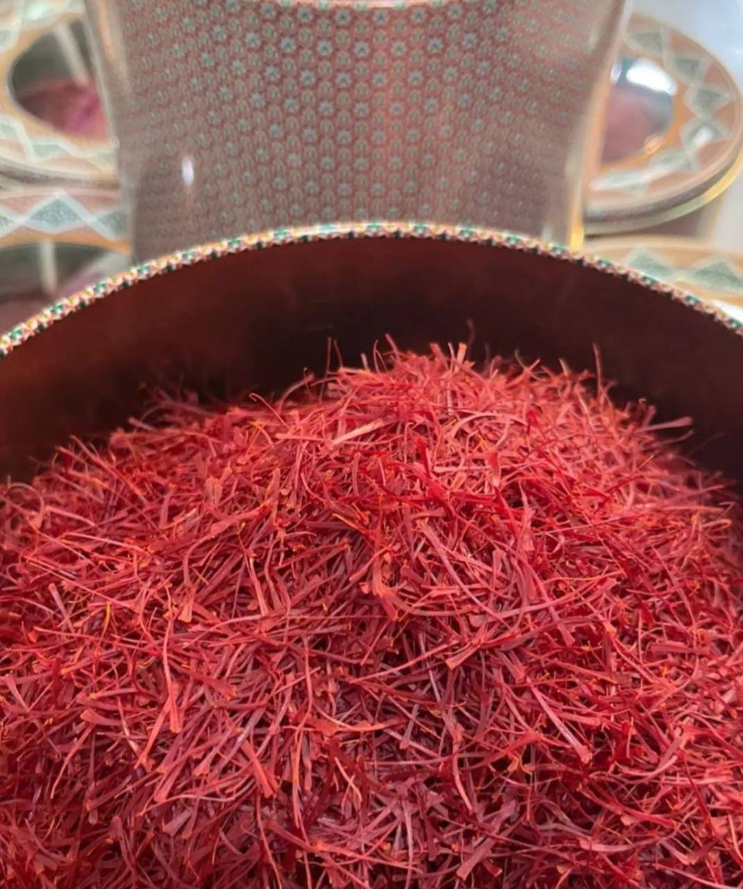 مزرعه زعفران در فصل برداشت